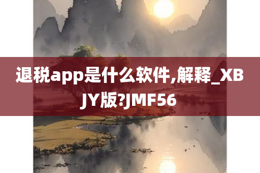 退税app是什么软件,解释_XBJY版?JMF56