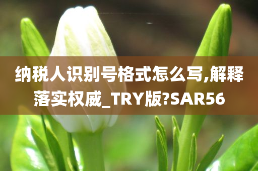 纳税人识别号格式怎么写,解释落实权威_TRY版?SAR56