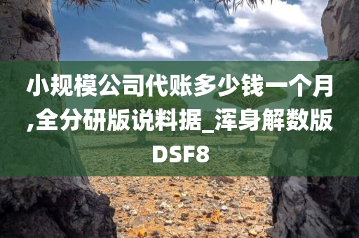 小规模公司代账多少钱一个月,全分研版说料据_浑身解数版DSF8