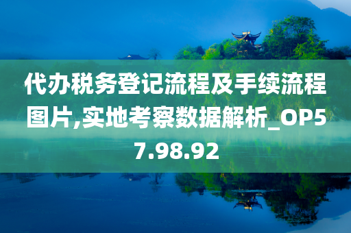 代办税务登记流程及手续流程图片,实地考察数据解析_OP57.98.92