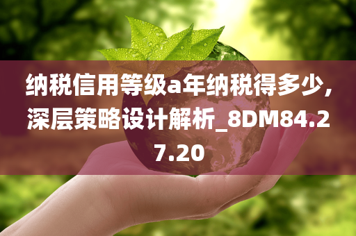 纳税信用等级a年纳税得多少,深层策略设计解析_8DM84.27.20