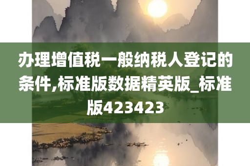 办理增值税一般纳税人登记的条件,标准版数据精英版_标准版423423