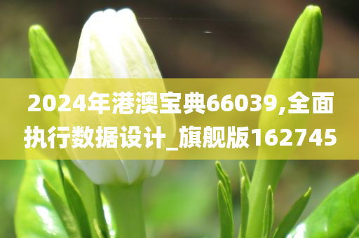 2024年港澳宝典66039,全面执行数据设计_旗舰版162745