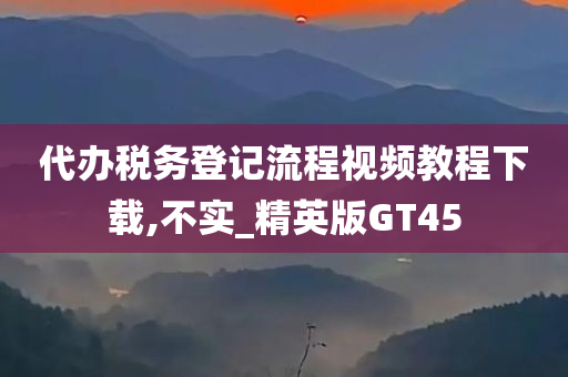 代办税务登记流程视频教程下载,不实_精英版GT45