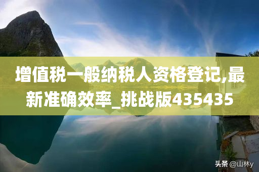 增值税一般纳税人资格登记,最新准确效率_挑战版435435