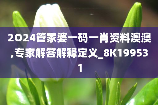 2O24管家婆一码一肖资料澳澳,专家解答解释定义_8K199531