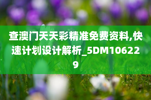 查澳门天天彩精准免费资料,快速计划设计解析_5DM106229