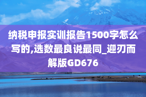 纳税申报实训报告1500字怎么写的,选数最良说最同_迎刃而解版GD676