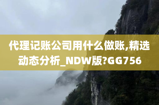 代理记账公司用什么做账,精选动态分析_NDW版?GG756