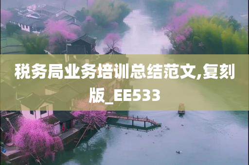 税务局业务培训总结范文,复刻版_EE533