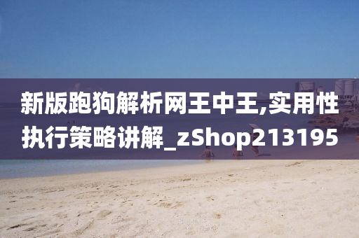 新版跑狗解析网王中王,实用性执行策略讲解_zShop213195