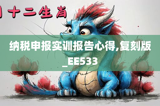 纳税申报实训报告心得,复刻版_EE533