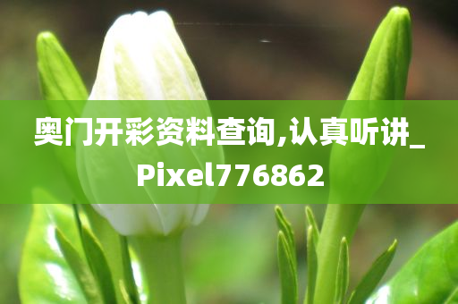 奥门开彩资料查询,认真听讲_Pixel776862