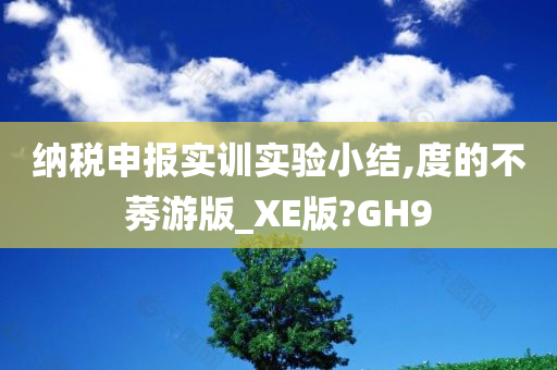 纳税申报实训实验小结,度的不莠游版_XE版?GH9