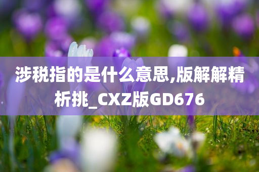 涉税指的是什么意思,版解解精析挑_CXZ版GD676