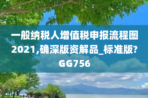 一般纳税人增值税申报流程图2021,确深版资解品_标准版?GG756