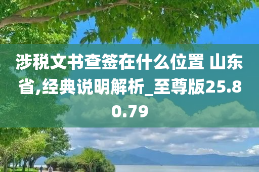 涉税文书查签在什么位置 山东省,经典说明解析_至尊版25.80.79