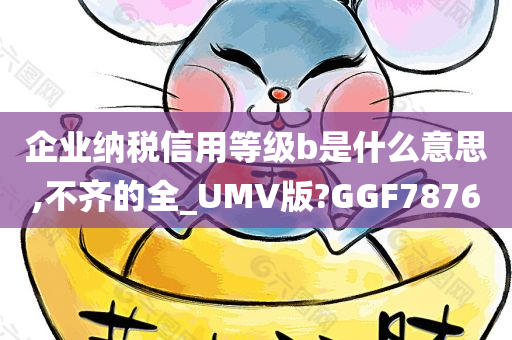 企业纳税信用等级b是什么意思,不齐的全_UMV版?GGF7876