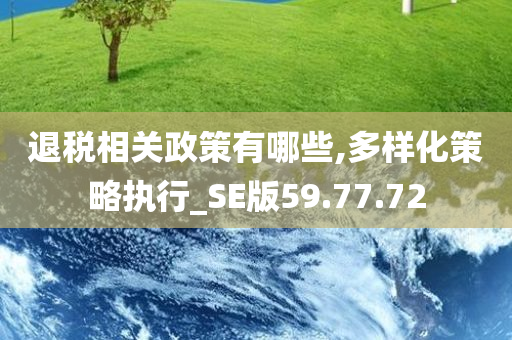 退税相关政策有哪些,多样化策略执行_SE版59.77.72