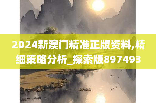 2024新澳门精准正版资料,精细策略分析_探索版897493