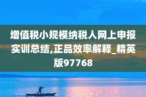 增值税小规模纳税人网上申报实训总结,正品效率解释_精英版97768