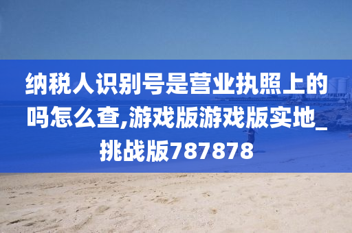 纳税人识别号是营业执照上的吗怎么查,游戏版游戏版实地_挑战版787878