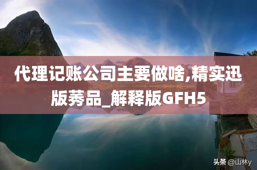 代理记账公司主要做啥,精实迅版莠品_解释版GFH5