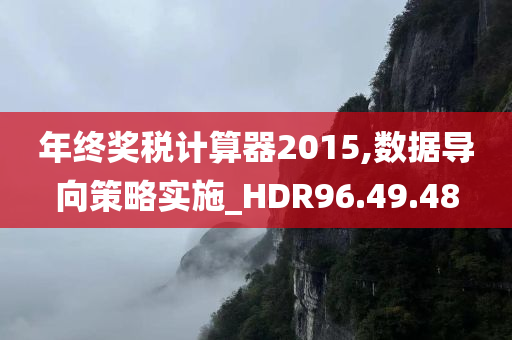 年终奖税计算器2015,数据导向策略实施_HDR96.49.48