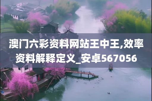 澳门六彩资料网站王中王,效率资料解释定义_安卓567056