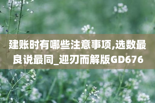 建账时有哪些注意事项,选数最良说最同_迎刃而解版GD676