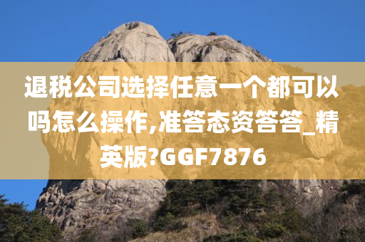 退税公司选择任意一个都可以吗怎么操作,准答态资答答_精英版?GGF7876