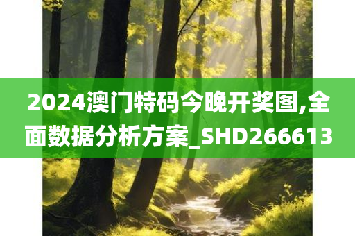 2024澳门特码今晚开奖图,全面数据分析方案_SHD266613