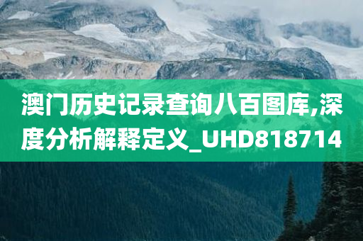 澳门历史记录查询八百图库,深度分析解释定义_UHD818714