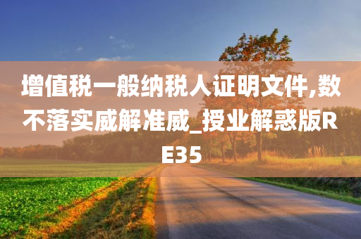 增值税一般纳税人证明文件,数不落实威解准威_授业解惑版RE35