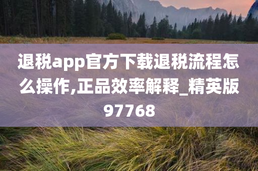 退税app官方下载退税流程怎么操作,正品效率解释_精英版97768