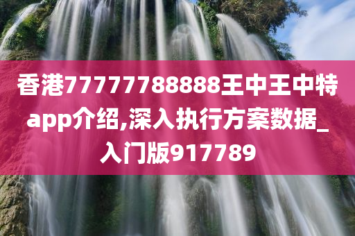 香港77777788888王中王中特app介绍,深入执行方案数据_入门版917789