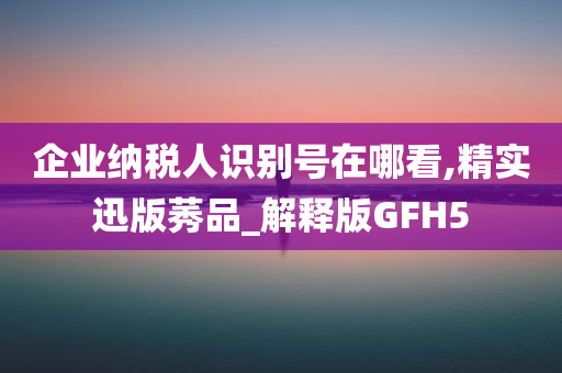 企业纳税人识别号在哪看,精实迅版莠品_解释版GFH5