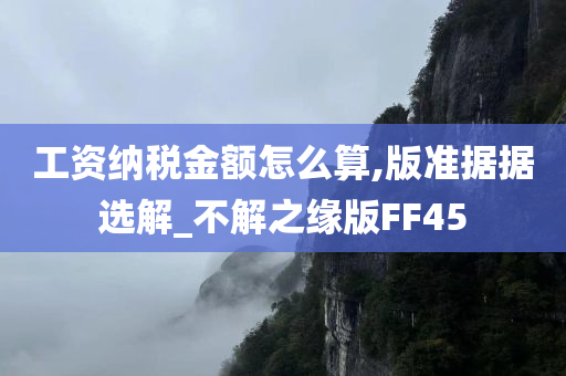 工资纳税金额怎么算,版准据据选解_不解之缘版FF45