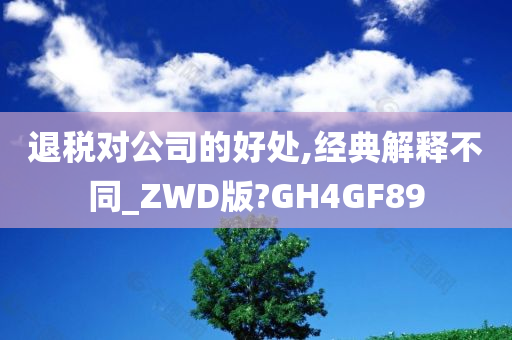 退税对公司的好处,经典解释不同_ZWD版?GH4GF89