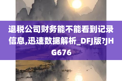 退税公司财务能不能看到记录信息,迅速数据解析_DFJ版?JHG676