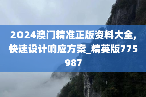 2O24澳门精准正版资料大全,快速设计响应方案_精英版775987