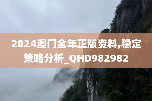 2024澳门全年正版资料,稳定策略分析_QHD982982