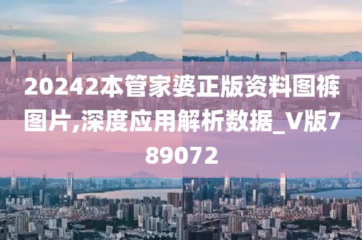 20242本管家婆正版资料图裤图片,深度应用解析数据_V版789072