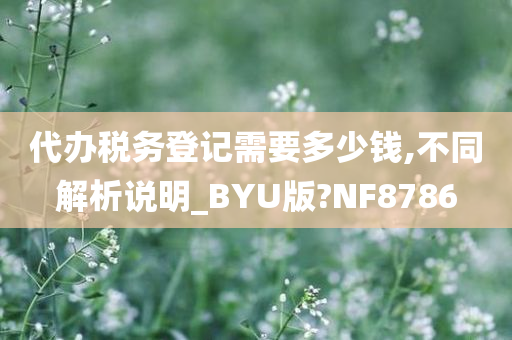 代办税务登记需要多少钱,不同解析说明_BYU版?NF8786