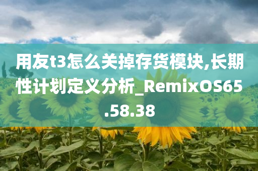 用友t3怎么关掉存货模块,长期性计划定义分析_RemixOS65.58.38