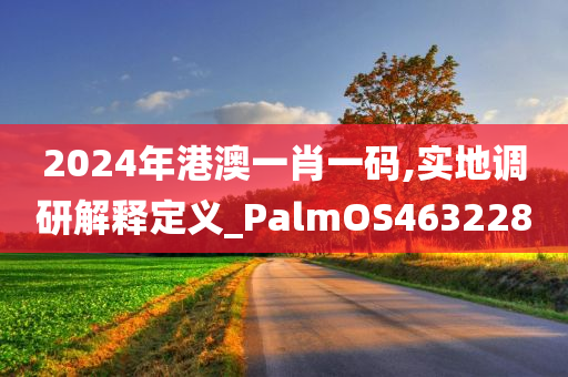 2024年港澳一肖一码,实地调研解释定义_PalmOS463228