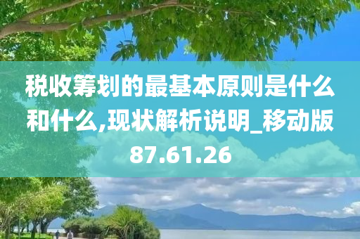 税收筹划的最基本原则是什么和什么,现状解析说明_移动版87.61.26