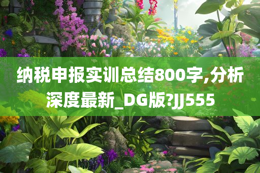 纳税申报实训总结800字,分析深度最新_DG版?JJ555