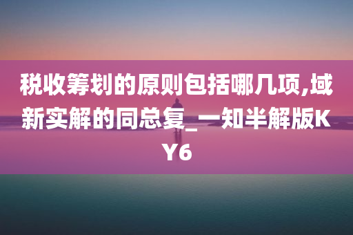 税收筹划的原则包括哪几项,域新实解的同总复_一知半解版KY6