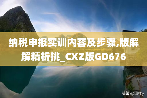 纳税申报实训内容及步骤,版解解精析挑_CXZ版GD676